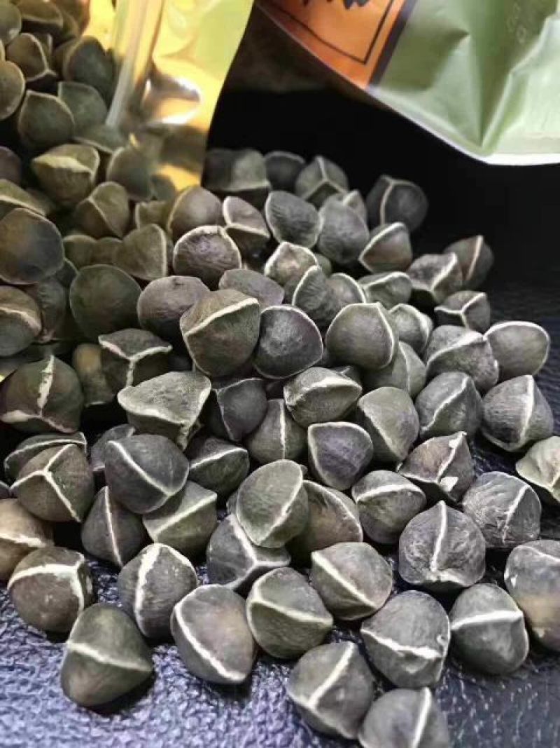 辣木籽