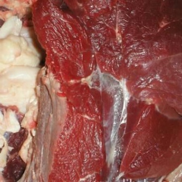 驴肉冻货