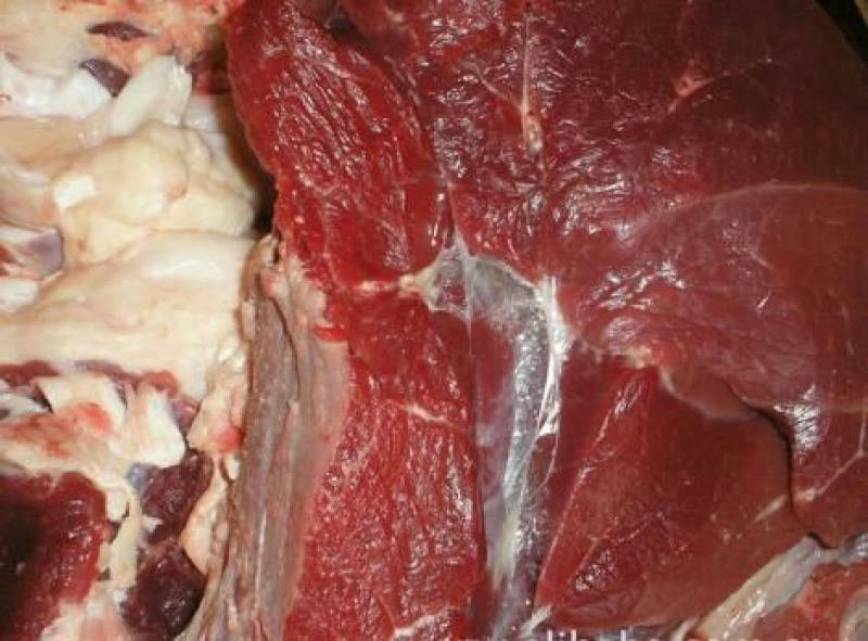 驴肉冻货