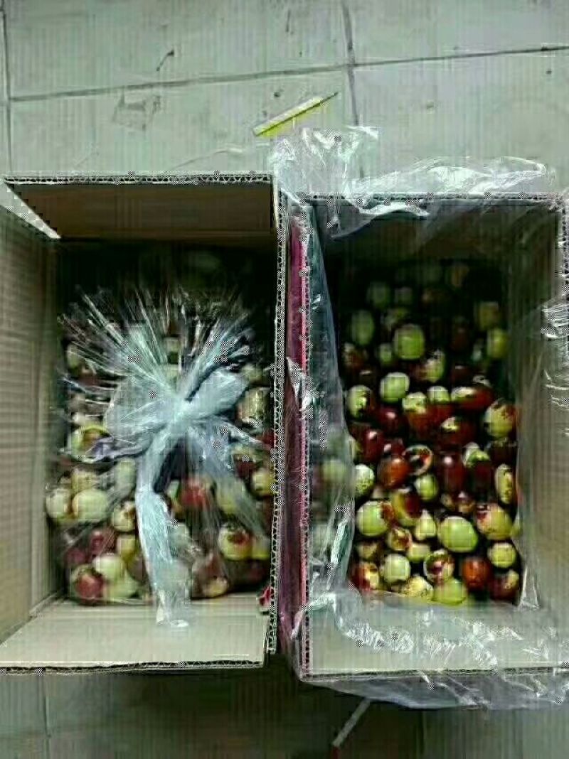 鸡心枣一级鲜枣山西大枣鲁因村鸡心枣产地花红点红青货