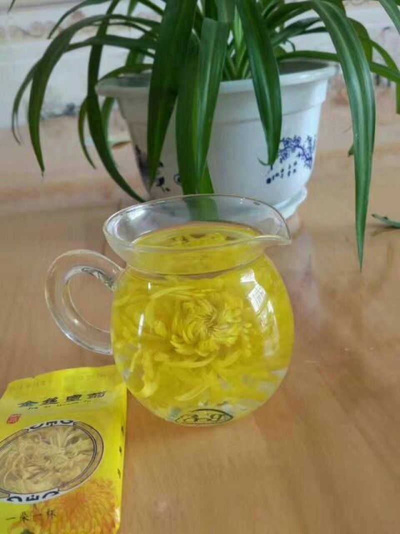 金丝皇菊茶特级