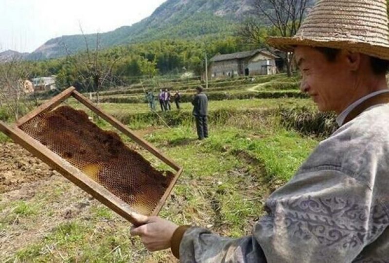 土蜂蜜