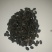 丝瓜种子