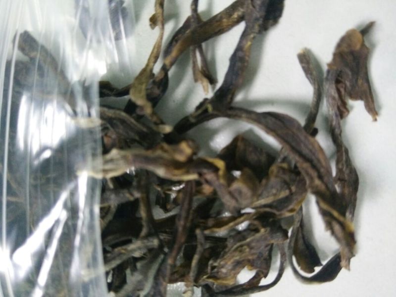 普洱茶特级