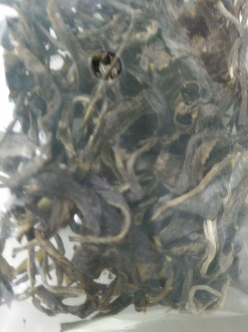 普洱茶特级