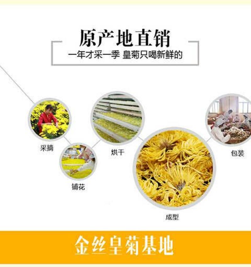 金丝皇菊茶送宁夏枸杞30克