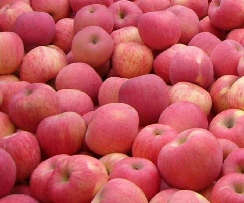 红将军苹果新红星苹果，中秋福利佳品，价格低，品质优