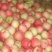 苹果货源充足供应