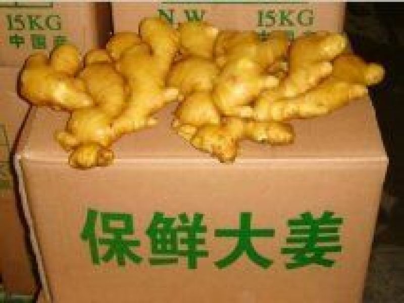 大黄姜老姜，大姜，小黄姜