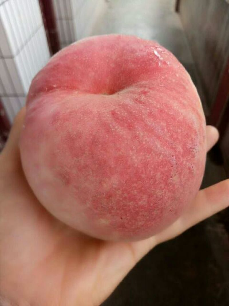 美脆桃