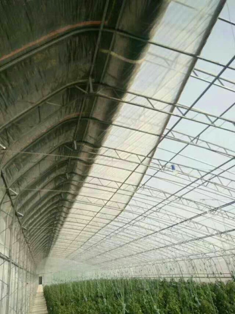 大棚骨架双膜骨架80型保温效果好抗风抗雪新型骨架