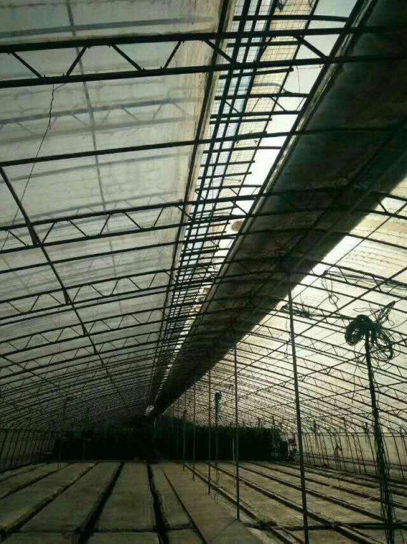 大棚骨架双膜骨架80型保温效果好抗风抗雪新型骨架