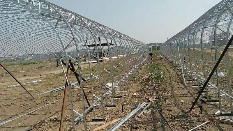 大棚骨架双膜骨架80型保温效果好抗风抗雪新型骨架