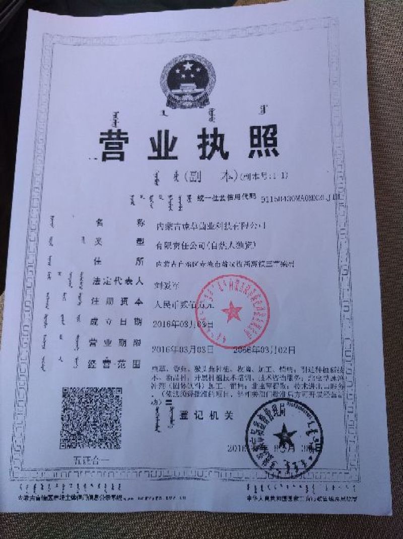 产地虫草花批发，内蒙古一手货源，质量保证，价格合理