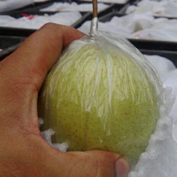 鸭梨纸加膜400~450g