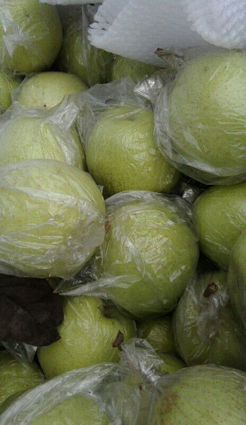 鸭梨纸加膜350~400g