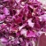 玫瑰花茶玫瑰花瓣