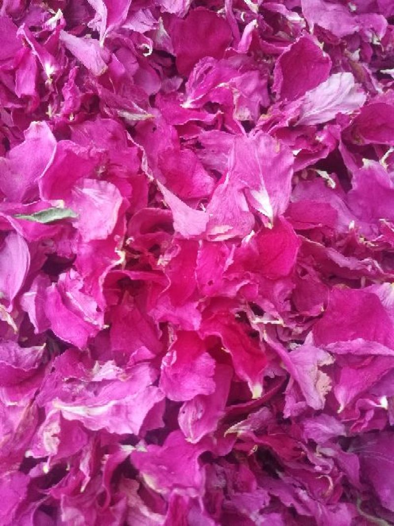 玫瑰花茶玫瑰花瓣