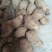 毛芋头4厘米以上大量供应货源充足山东毛芋头