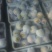 晚秋黄梨无公害绿色食品