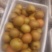 晚秋黄梨无公害绿色食品