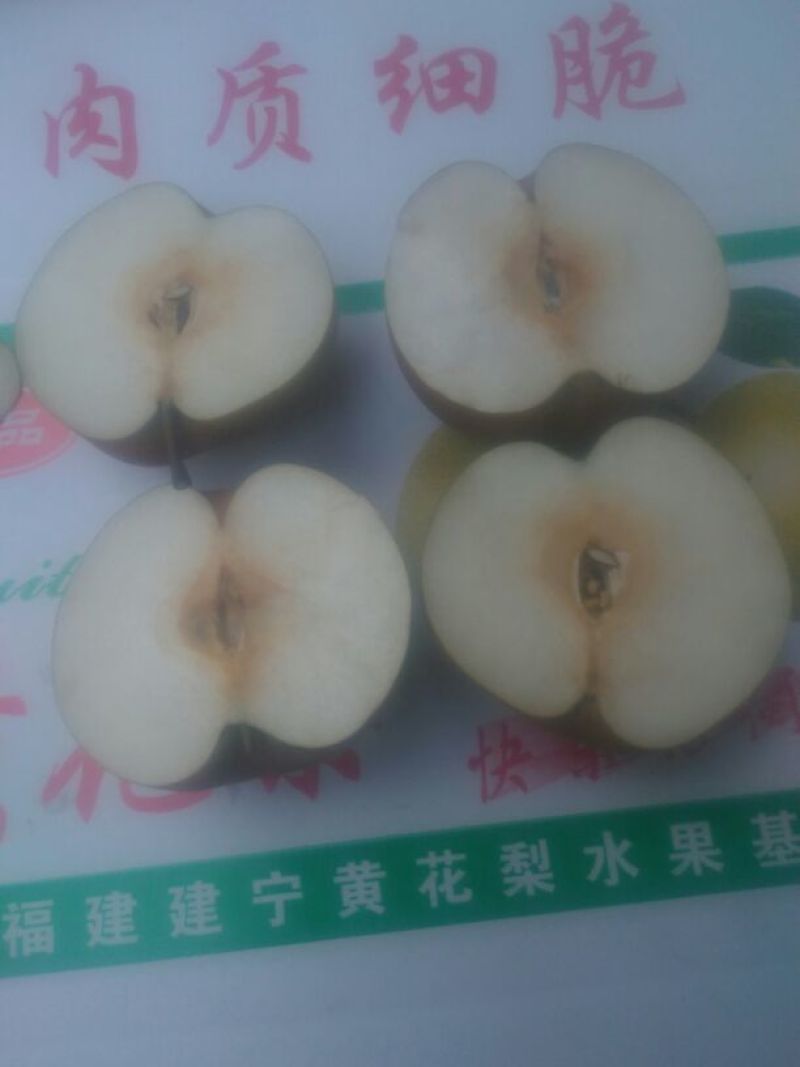 晚秋黄梨无公害绿色食品