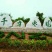 冬枣山东沾化冬枣鲜枣脆甜可口基地直供电商对接