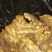生姜老姜，鲜姜，大量批发