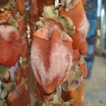 柿饼1~2两