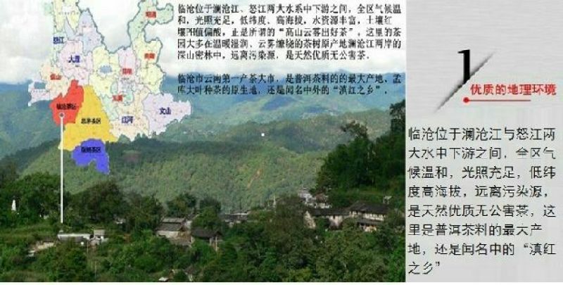 普洱茶云南临沧大雪山古树茶
