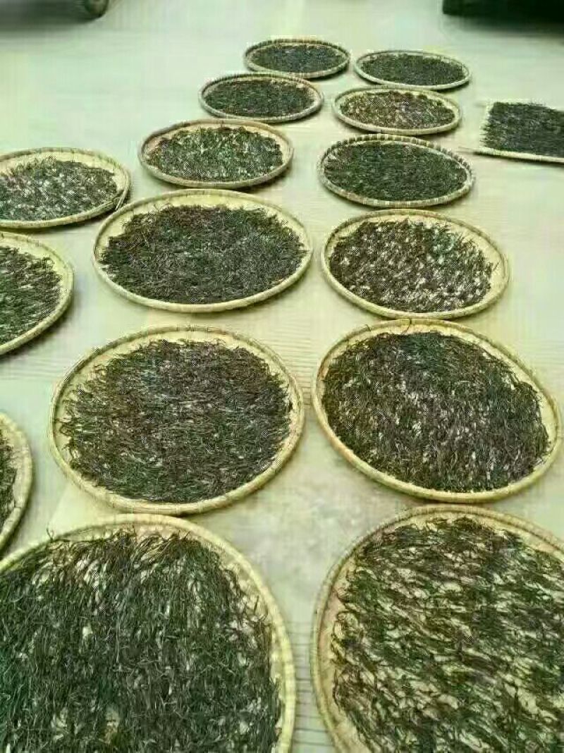 老树茶一级