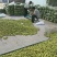 山东诚信早脆王枣基地批发商