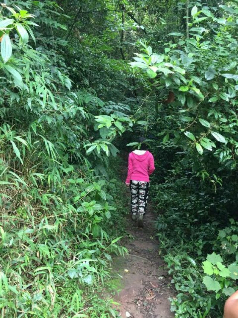 普洱茶一级