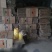 龙薯9号3两以上商品薯黄心湖北省襄阳市宜城市