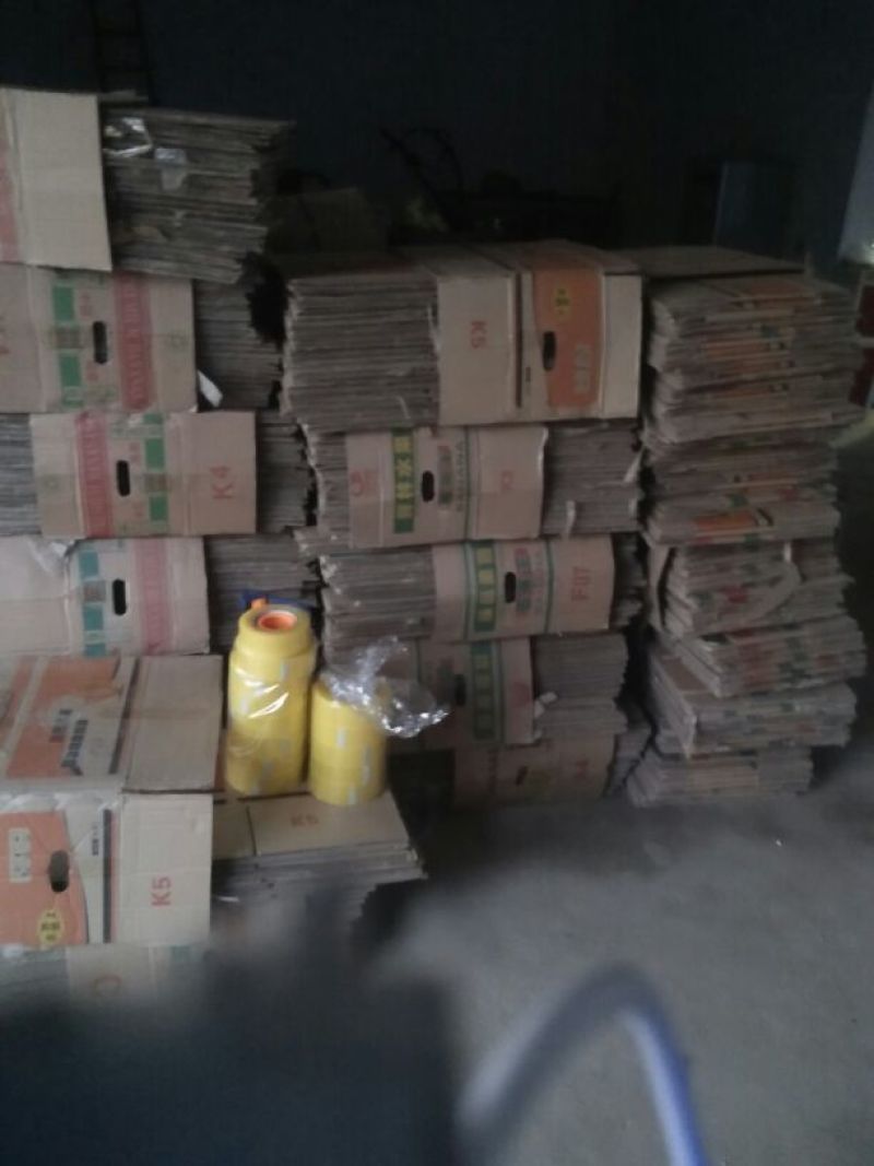 龙薯9号3两以上商品薯黄心湖北省襄阳市宜城市