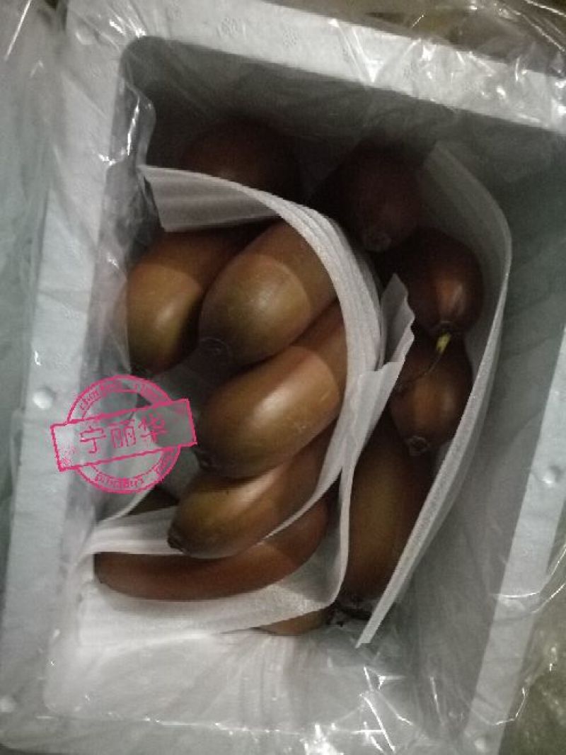 一件代发】一级红香蕉基地直供，包售后，不泡药水新鲜健康