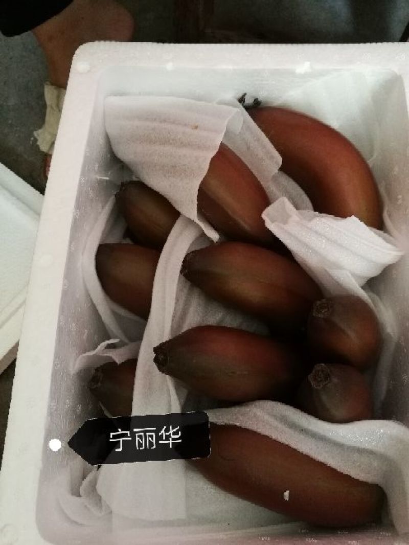 一件代发】一级红香蕉基地直供，包售后，不泡药水新鲜健康