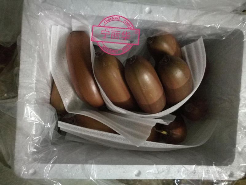 【聚便宜】红香蕉产地直发一级精品5斤净果)包邮一件代发