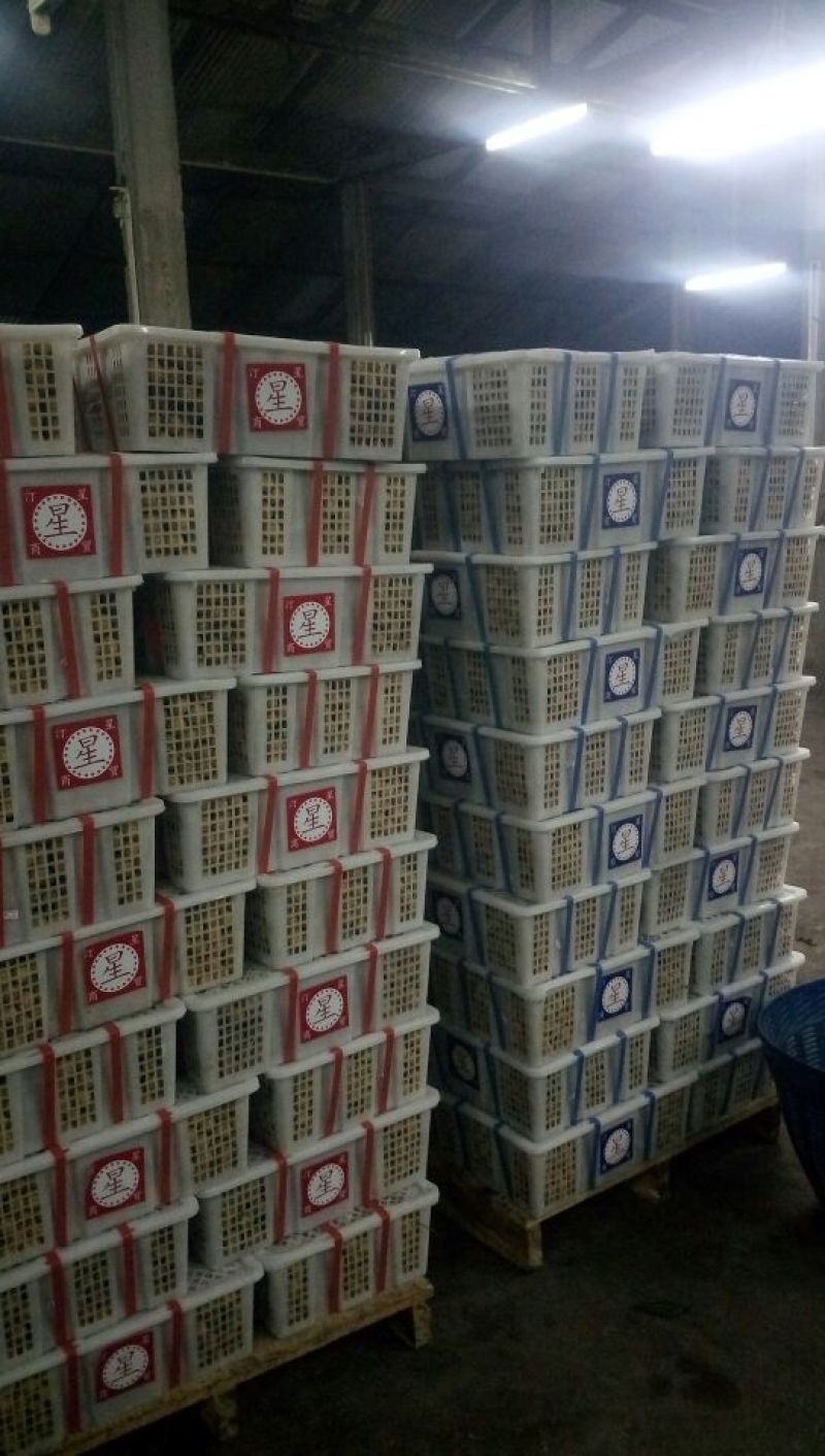 凤梨穗龙眼金标