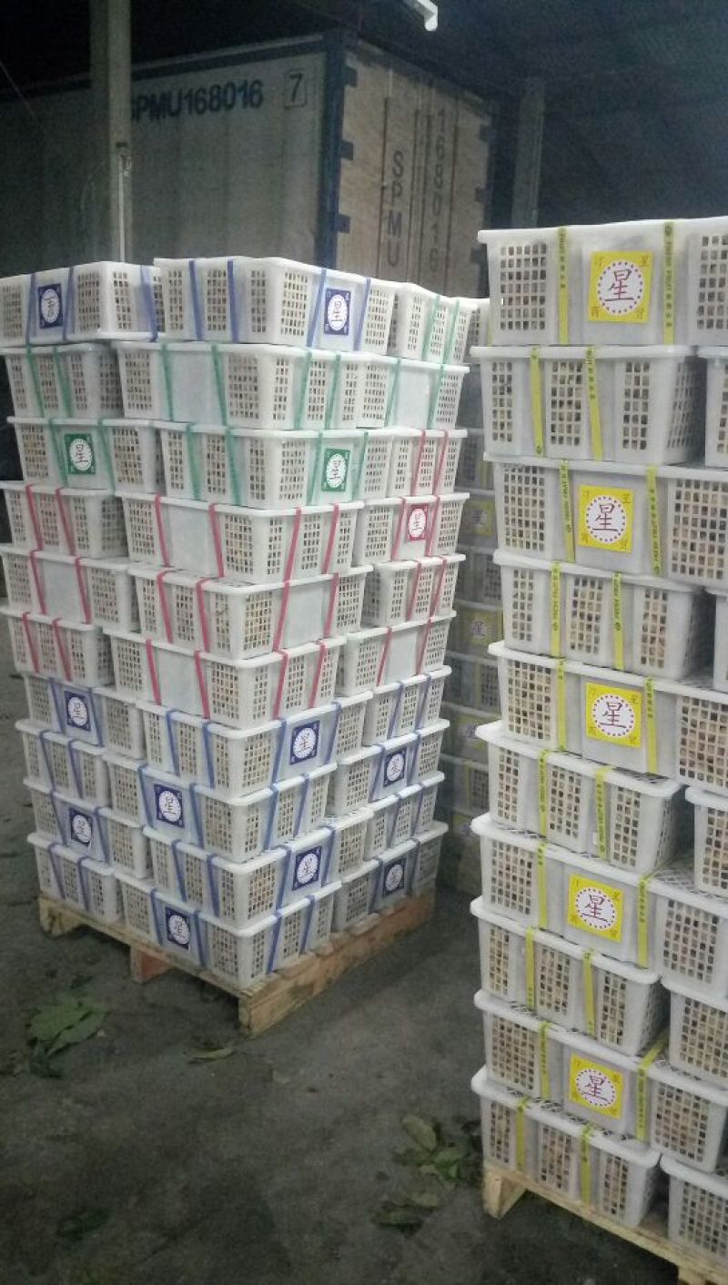 凤梨穗龙眼金标