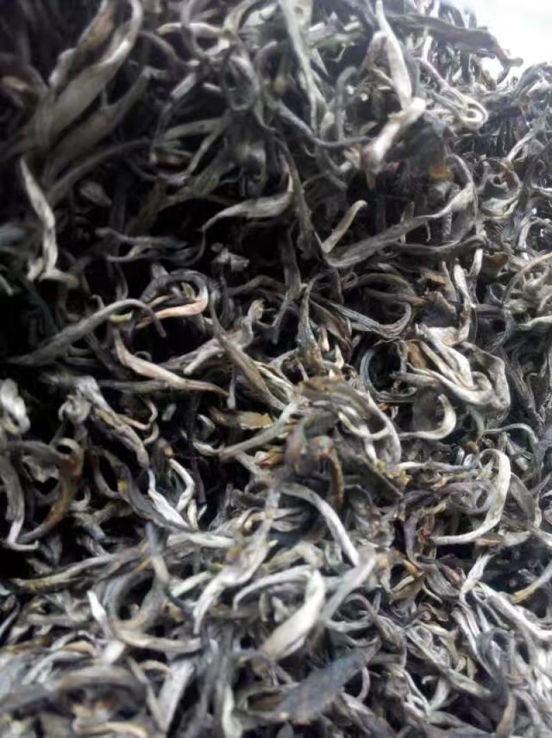 古树普洱茶一级