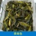 黑鱼淡水鱼苗销售