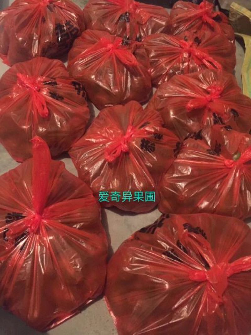 有需要的老板可以随时到果园看果（红阳红心猕猴桃）