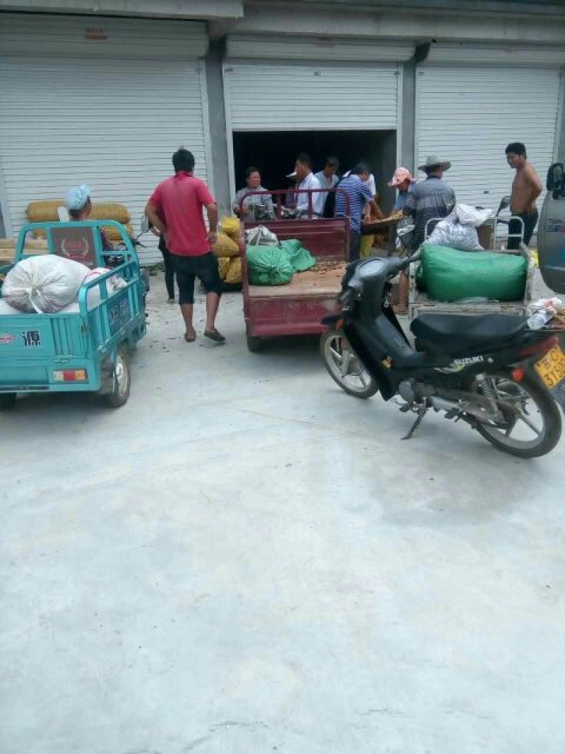 花生，鲜货，带壳，海花，颗粒饱满，过筛手捡，精品货