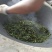 普洱茶一级