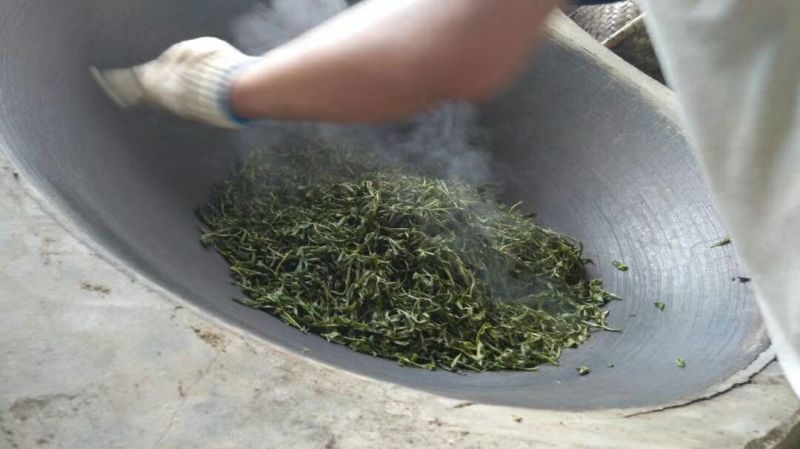 普洱茶一级