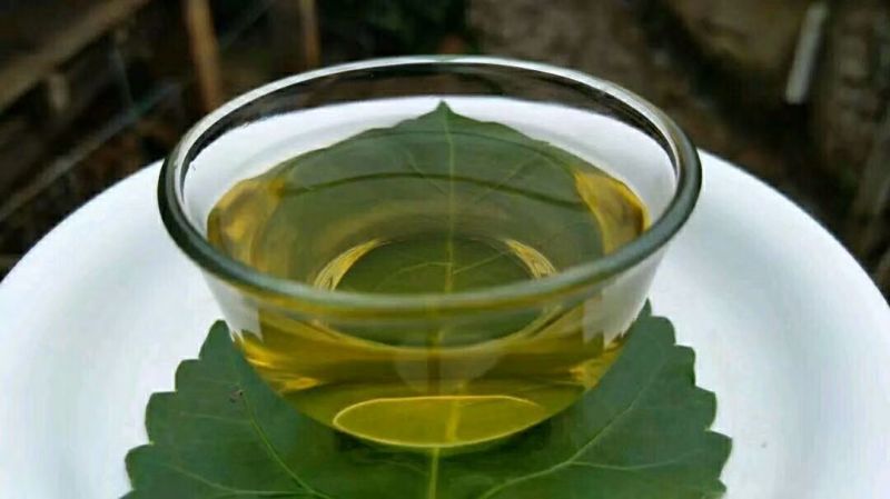普洱茶一级