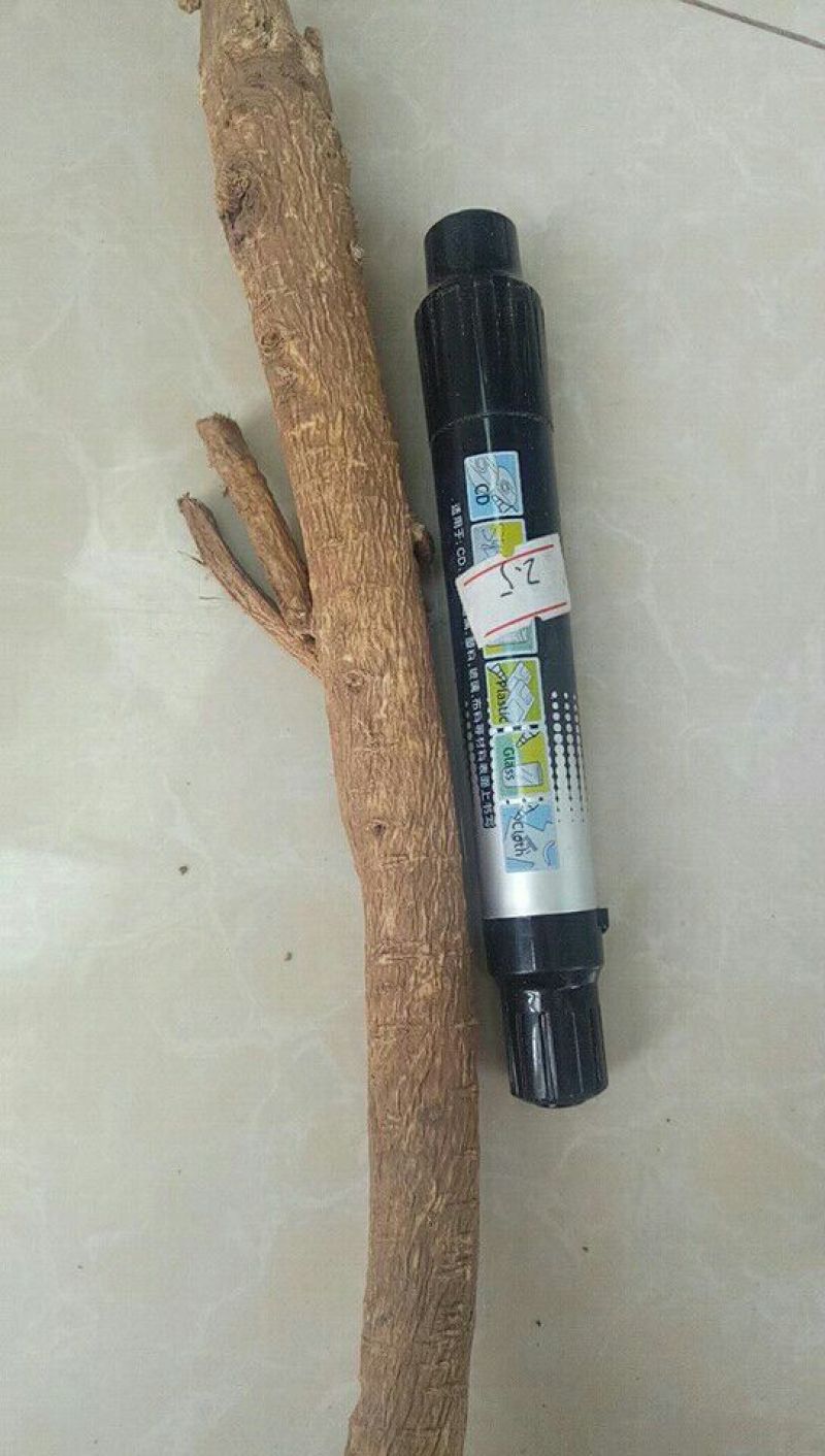 黄芪北芪节子够含量可切片
