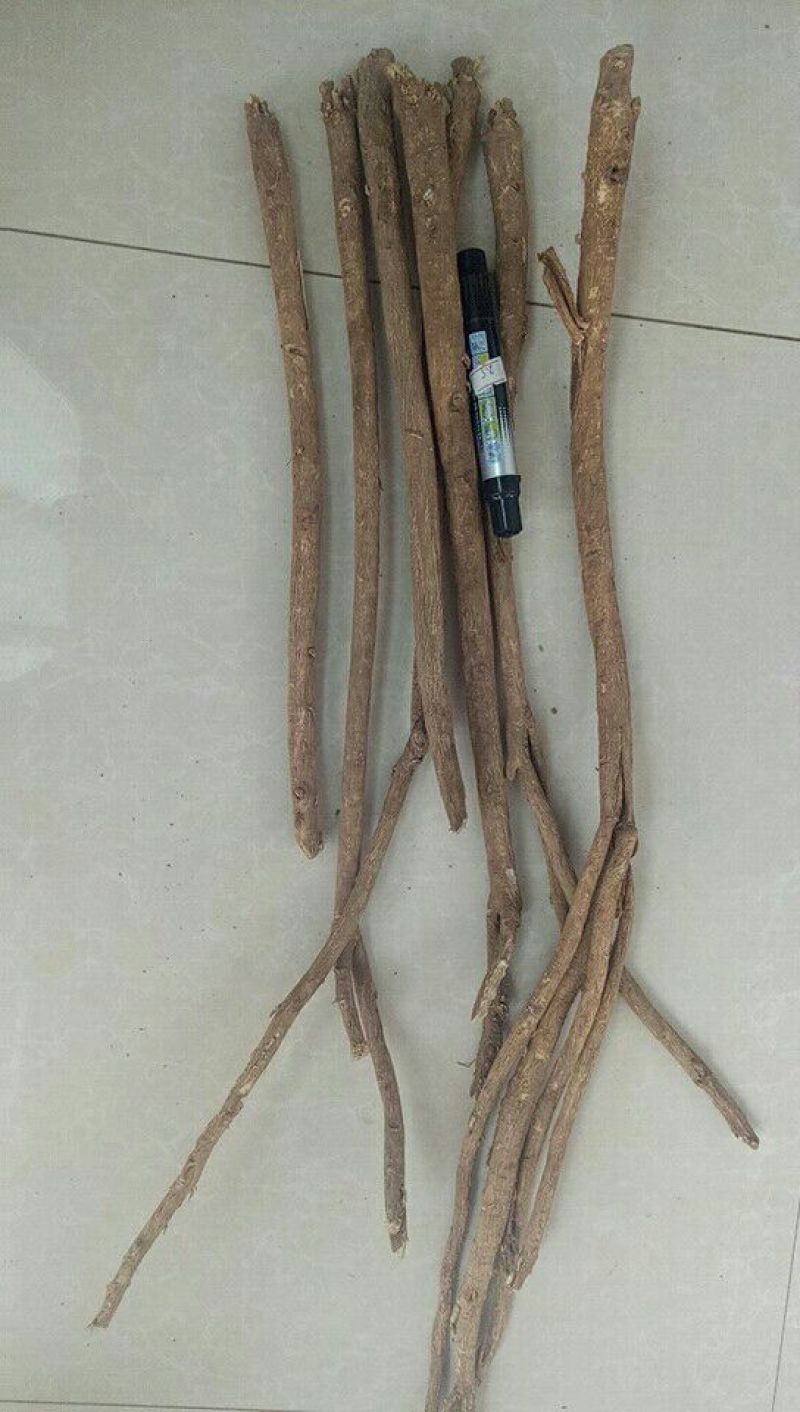 黄芪北芪节子够含量可切片