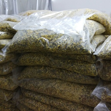药用菊花散装